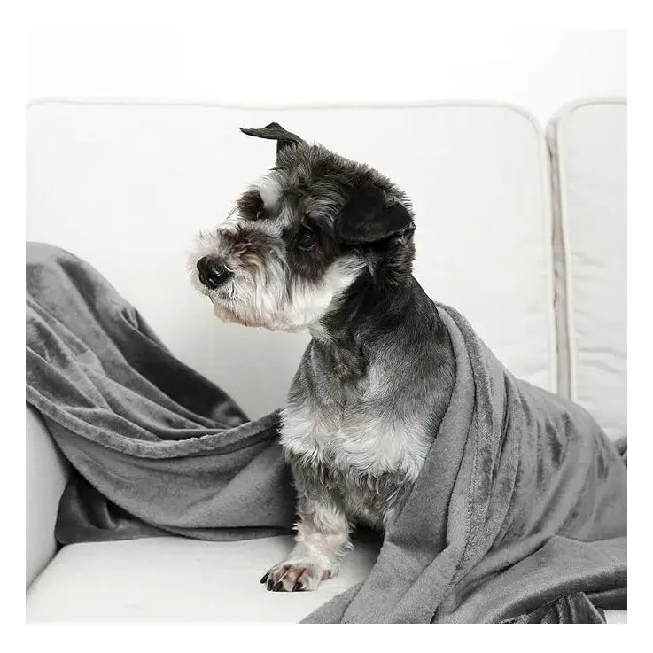 Manta Polar Perros Cobija Suave Mascota Polar Cobija Manta