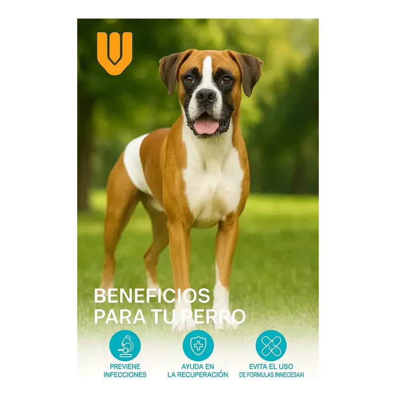 24 Pañales Perros Macho Gatos Desechables Incontinencia M Blanco 24 Unidades 24 Unidades M