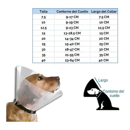 Collar Isabelino Perro Gato 10cm Cono Ajustable Transparente