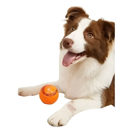 X2 Juguetes Para Perros Pelota Interactiva Sonido Juguete