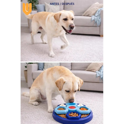 Comedero Perro Dispensador Premio Interactivo Antiestrés Azul Turquesa Azul Marino Blanco Rojo Multicolor Plato Premio Canino Comedero Lento Interactivo Olfativo Perro Mediano M