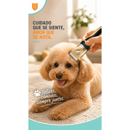 Maquina Peluquera Profesional Corta Pelo Mascotas Perro Gato Negro Dorado Acabado Brillante Rasuradora Mascotas Geemy Gm6063 Cuerpo Oscuro Detalles Oro Peines Tijera Lima Kit Cortes