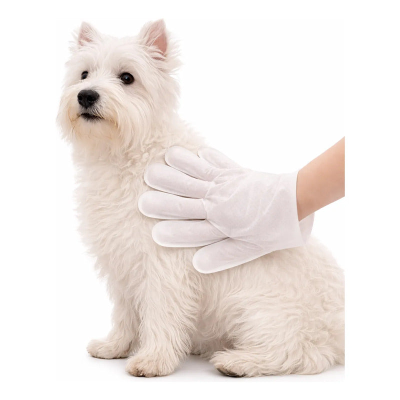 Toallas Desechables Humedas Guante Limpieza Mascota 6 Pieza Toallas Humedas Desechables Guante Limpieza Mascotas Higiene Rapida Suave Humectante Portatil Seis Unidades Cuidado