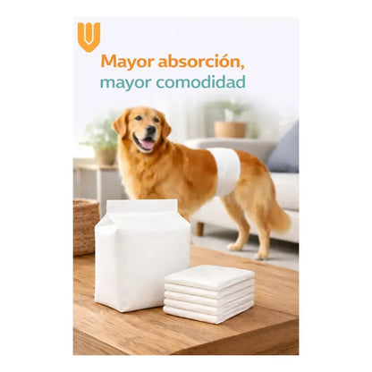 60 Pañales Perros Macho Gatos Desechables Incontinencia M Blanco Macho M 55 X 20cm