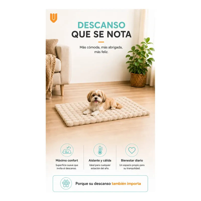 Cama Perros Mascotas Acolchada Lavable Resistente 60x80cm Beigecrema Camas De Perro