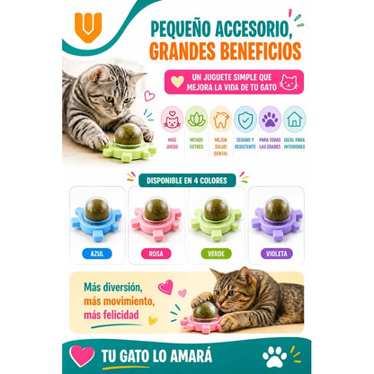 Bola Catnip Gato Juguete Adhesivo Pared Estimulante Natural Multicolor Vibrante Combinacion Tonos Llamativos Diseño Moderno Atractivo Mascotas Visual Dinamico Facil Identificar Uso Diario