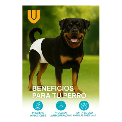 X40 Pañales Perros Desechables Incontinencia Pañales Gato Xl Blanco Hembra Xl 60 X 35 Cm