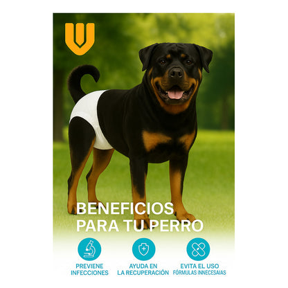 X10 Pañales Perros Desechables Incontinencia Pañales Gato Xl