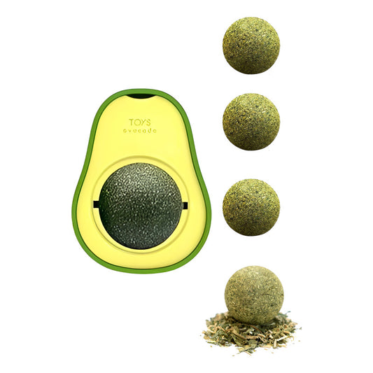 Hierba Gatera Avocado + 4 Bola Gatera Catnip Para Gatos