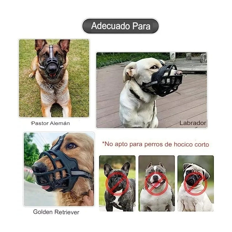 Bozal Perro Grandes Bozal Para Perro Bozal Perro Grande Xxl