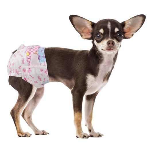 X20 Pañal Gato Panal Perro Pañales Macho Hembra Gato S