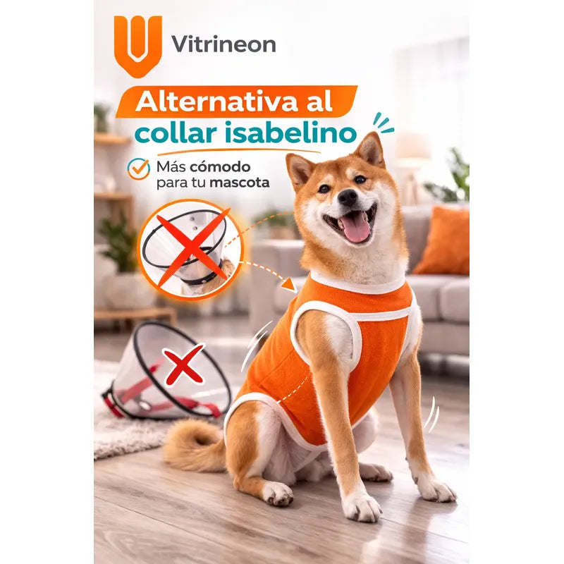 Body Post Operatorio Perros Ropa Traje Mascotas Cuidados L-body Perro Postcirugia Proteccion Suturas Ajuste