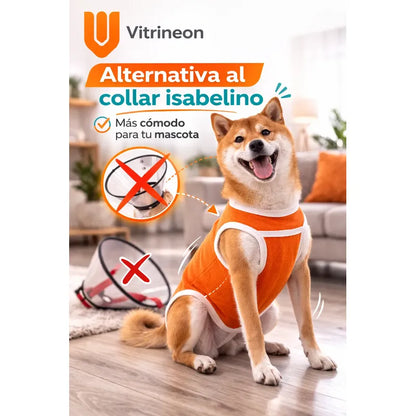 Body Post-operatorio Ropa Perros Traje Mascotas Cuidados Talla M Mascota Ajustable Transpirable Lavable Antilamedura Comodo Seguro