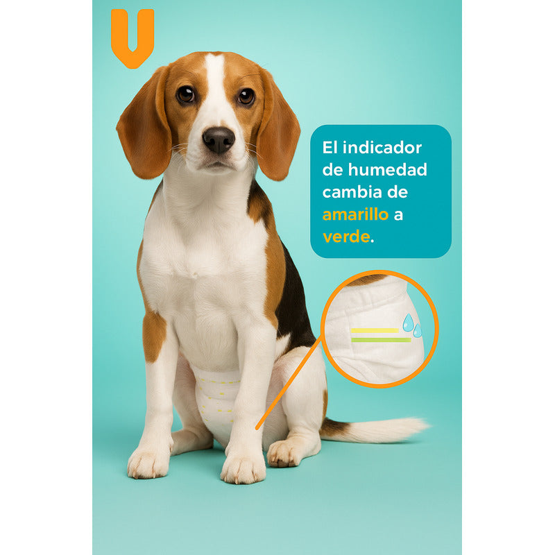X40 Pañales Perro Hembra Pañal Perro Gato Incontinencia S