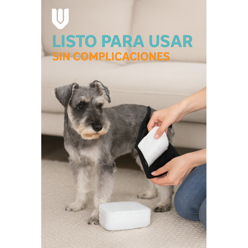 Pack 10 Protector Calzón Celo Mascota Absorbente Almohadilla