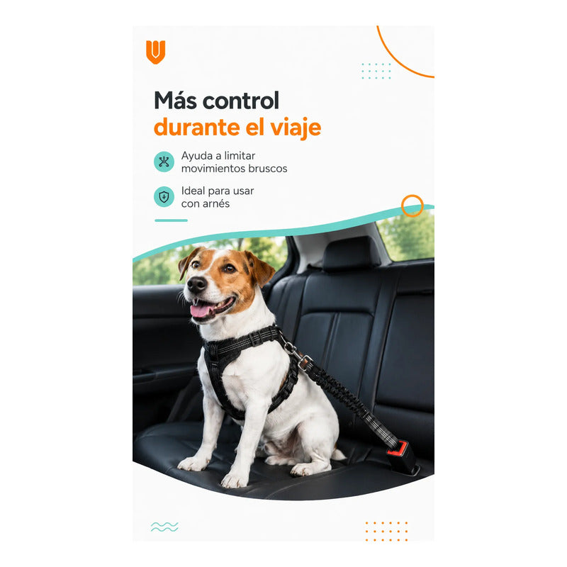 Cinturón De Seguridad Para Perro Gato Correa Elástica Auto  Negro
