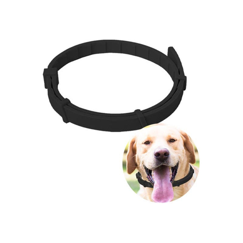 Pack X2 Collar Antipulgas Perro Repelente Garrapata Collar