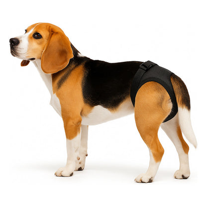 Calzon Perros Celo Calzones Reutilizables 3 Repuestos Pañal