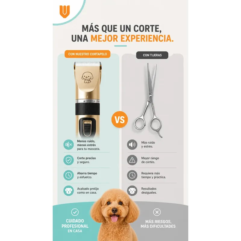 Maquina Peluquera Profesional Corta Pelo Mascotas Perro Gato Negro Dorado Acabado Brillante Rasuradora Mascotas Geemy Gm6063 Cuerpo Oscuro Detalles Oro Peines Tijera Lima Kit Cortes