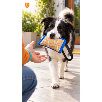 Mordedor Yute Perro Asa Juego Interactivo Adiestramiento Beige Natural Mordedor Canino Yute Asa Negra Cuerpo Compacto Rectangular Juego Interactivo Trama Visible