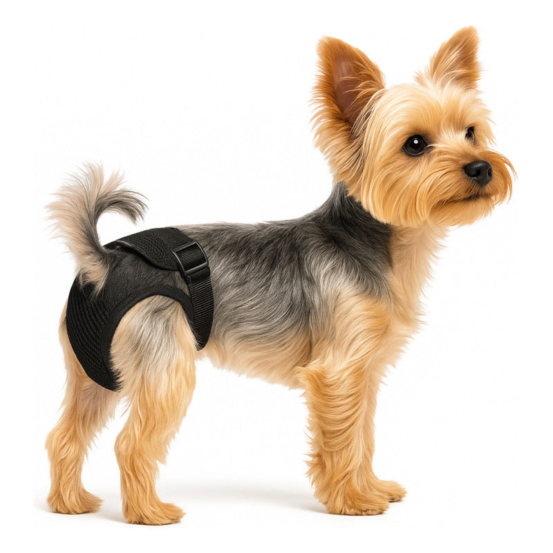 Calzon Perros Celo Calzones Reutilizables 3 Repuestos Pañal