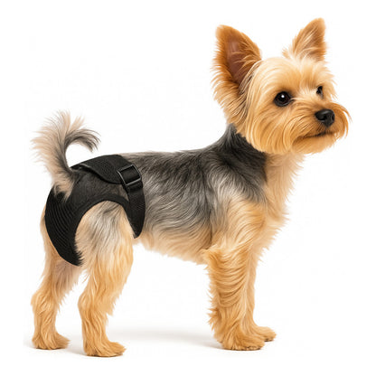 Calzon Perros Celo Calzones Reutilizables 3 Repuestos Pañal