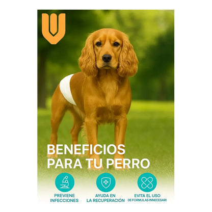 120 Pañales Perros Desechable Mascota Higienica Gato Talla S Blanco Macho S 42x17 Cm