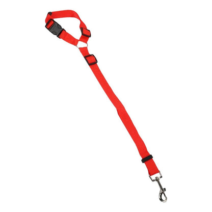 Cinturón De Seguridad Auto Perro Correa Cinturón 2 En 1