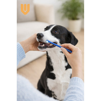 Cepillo Y Pasta De Dientes Perro Pasta Dientes Mascotas