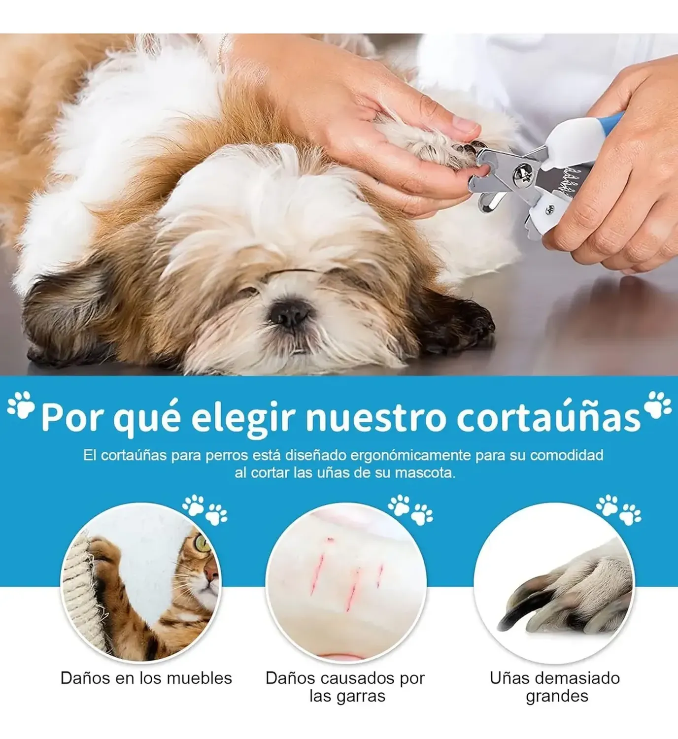 png_1500x1500_71402353