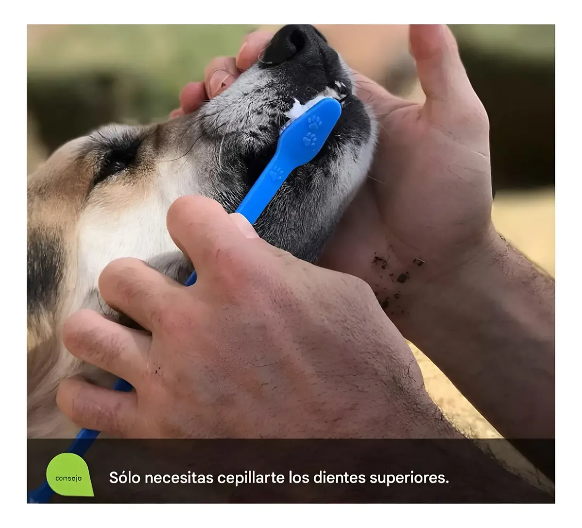 png_1500x1500_71400277